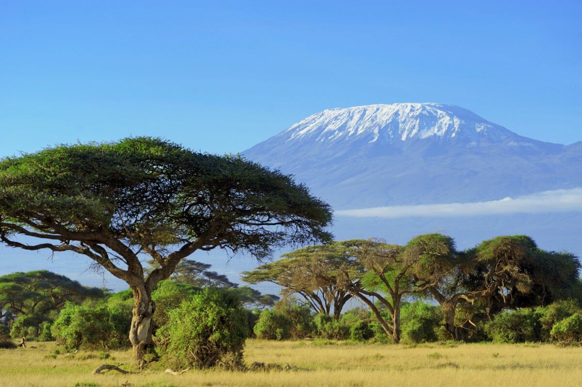 Environmental Protection & Green Living